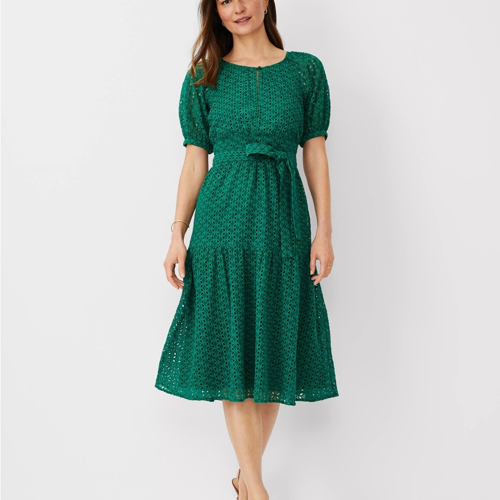 Ann Taylor - eyelet puff sleeve flare dress
